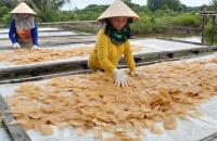 Phê duyệt Đề án “Hỗ trợ hợp tác xã do phụ nữ tham gia quản lý, tạo việc làm cho lao động nữ đến năm 2030”