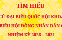 Quy định kiểm đếm số phiếu bầu và Biên bản xác định kết quả bầu cử  đại biểu Quốc hội của Ủy ban bầu cử ở tỉnh, thành phố