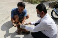 Tăng cường việc phòng, chống bệnh dại ở động vật trên địa bàn tỉnh Cà Mau