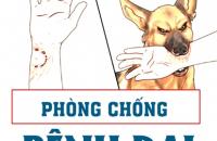 Tăng cường triển khai các biện pháp phòng chống bệnh Dại