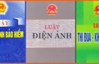 Triển khai phổ biến các luật mới được Quốc hội khóa XV thông qua