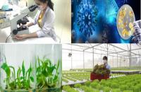 Phát triển công nghệ sinh học Ngành Nông nghiệp đến năm 2023