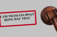 Cấm tham gia hoạt động đấu thầu