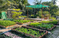 Câu chuyện: Vườn rau bị phá hoại