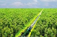 Tăng cường các biện pháp cấp bách phòng cháy, chữa cháy rừng