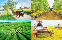 Tháo gỡ khó khăn, thúc đẩy triển khai  thực hiện 03 chương trình mục tiêu quốc gia 