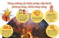 Kế hoạch phòng cháy, chữa cháy rừng mùa khô năm 2023 - 2024