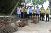 Ngăn chặn nhập lậu, vận chuyển trái phép động vật, sản phẩm động vật;  kiểm soát tốt dịch bệnh, phát triển chăn nuôi bền vững, bảo đảm  nguồn cung thực phẩm