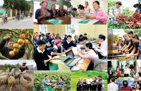 Nâng cao năng lực, hiệu lực quản lý nhà nước về chính sách xã hội