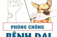 Tăng cường các biện pháp cấp bách phòng, chống bệnh Dại