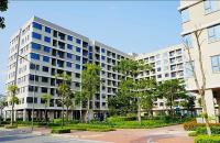 Triển khai chương trình cho vay nhà ở xã hội, nhà ở công nhân, cải tạo, xây dựng lại chung cư cũ  