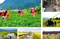 Chính phủ yêu cầu ban hành ngay các văn bản hướng dẫn thực hiện các Chương trình mục tiêu quốc gia 