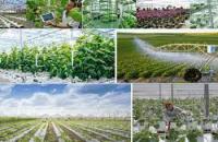 Đẩy mạnh ứng dụng, nhân rộng kết quả nghiên cứu phục vụ phát triển kinh tế - xã hội 