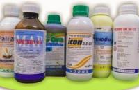 Tăng cường thanh tra, kiểm tra việc sản xuất, kinh doanh, sử dụng chế phẩm diệt côn trùng, diệt khuẩn dùng trong gia dụng và y tế