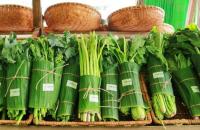Cà Mau tăng cường công tác quản lý chất thải nhựa