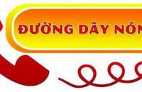 Đường dây nóng, hộp thư điện tử, địa chỉ tiếp nhận xử lý tin báo về buôn lậu, gian lận thương mại và hàng giả