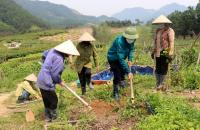 Quy định mức hỗ trợ dự án khai hoang để giao đất có khả năng sản xuất vùng dân tộc thiểu số
