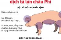 Thủ tướng Chính phủ chỉ đạo tập trung triển khai các giải pháp phòng, chống bệnh Dịch tả lợn Châu Phi