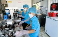 Cà Mau đẩy mạnh hỗ trợ pháp lý, tạo điểm tựa cho doanh nghiệp nhỏ và vừa