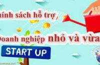 Cà Mau triển khai Kế hoạch hỗ trợ doanh nghiệp nhỏ và vừa