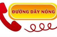Số điện thoại đường dây nóng tiếp nhận thông tin phản ánh, tố giác về các hành vi khai thác nguồn lợi thủy sản