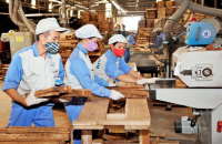 Phê duyệt Đề án phát triển ngành công nghiệp chế biến gỗ bền vững, hiệu quả giai đoạn 2021 – 2030