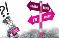 Cà Mau: Năm 2020 thực hiện giám định trên 890 vụ việc
