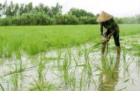 Chương trình mục tiêu quốc gia giảm nghèo bền vững 2021 – 2025