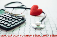 Quy định mức giá dịch vụ khám bệnh, chữa bệnh không thuộc phạm vi thanh toán của Quỹ bảo hiểm y tế mà không phải là đối tượng khám bệnh, chữa bệnh theo yêu cầu tại các cơ sở khám bệnh, chữa bệnh của nhà nước thuộc phạm vi quản lý của tỉnh Cà Mau 