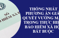 Thống nhất phương án giải quyết vướng mắc trong thực hiện  bảo hiểm xã hội bắt buộc
