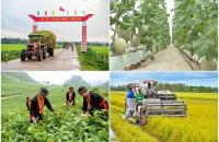 Thủ tướng Chính phủ đôn đốc triển khai quyết liệt các chương trình mục tiêu quốc gia