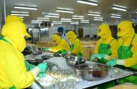 Đẩy mạnh xuất khẩu hàng hoá tỉnh Cà Mau năm 2023
