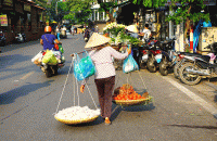Tiêu chí, điều kiện hỗ trợ hộ kinh doanh sản xuất nông, lâm, ngư nghiệp, làm muối và người bán hàng rong, làm dịch vụ có thu nhập thấp ảnh hưởng bởi dịch Covid – 19