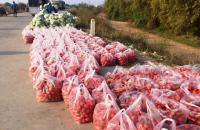 Vận động, hỗ trợ ngưòi dân Cà Mau gặp khó khăn do tác động của dịch bệnh COVID-19 và hỗ trợ kết nối cung ứng hàng nông sản thiết yếu đến các tỉnh, thành phố có nhu cầu