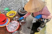 Câu chuyện: Chung tay bảo vệ nguồn lợi thủy sản