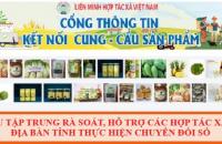 Tập trung rà soát, hỗ trợ các hợp tác xã trên địa bàn tỉnh thực hiện chuyển đổi số 