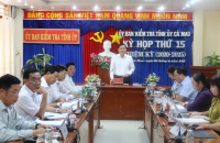 Hướng dẫn thực hiện việc kiểm soát tài sản, thu nhập