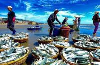 Tăng cường thực hiện các biện pháp chống khai thác thủy sản bất hợp pháp, không báo cáo và không theo quy định trên địa bàn tỉnh