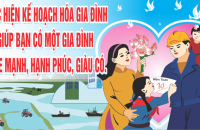 Triển khai Chương trình củng cố, phát triển và nâng cao chất lượng  dịch vụ kế hoạch hóa gia đình đến năm 2030