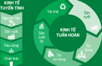 Cà Mau triển khai Đề án phát triển kinh tế tuần hoàn ở Việt Nam