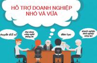 Hỗ trợ doanh nghiệp nhỏ và vừa năm 2022 trên địa bàn tỉnh Cà Mau