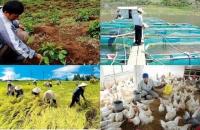 Tiếp tục đổi mới, phát triển và nâng cao hiệu quả kinh tế tập thể trong giai đoạn mới
