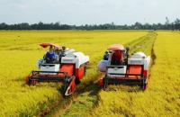 Đến năm 2025 diện tích canh tác vùng chuyên canh lúa chất lượng cao và phát thải thấp đạt 180.000 héc-ta