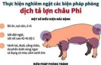 Tăng cường phòng, chống bệnh Dịch tả heo (lợn) Châu Phi