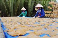 Bảo tồn và phát triển làng nghề tỉnh Cà Mau