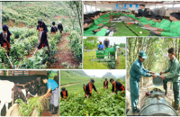 Cà Mau triển khai đào tạo nghề nông nghiệp cho lao động nông thôn