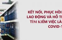 Kết nối, phục hồi thị trường lao động và hỗ trợ lao động tìm kiếm việc làm sau dịch COVID-19