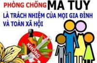 Tăng cường, nâng cao hiệu quả phòng chống ma túy