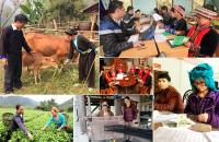 Cà Mau thực hiện Chương trình mục tiêu quốc gia phát triển kinh tế - xã hội vùng đồng bào dân tộc thiểu số và miền núi giai đoạn 2021 - 2030, giai đoạn I: từ năm 2021 đến năm 2025 trên địa bàn tỉnh