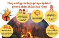 Cà Mau tăng cường chỉ đạo phòng cháy rừng mùa khô